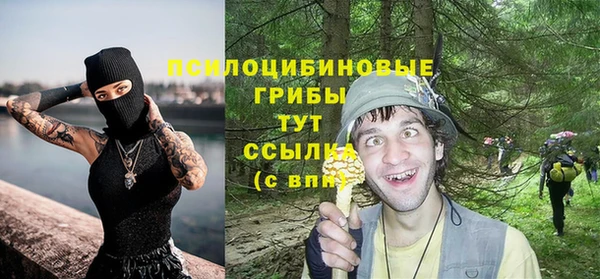 круглые Алзамай