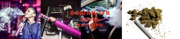 бошки Алексин