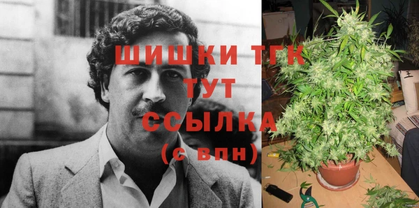 бошки Алексин