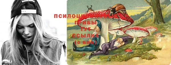 круглые Алзамай