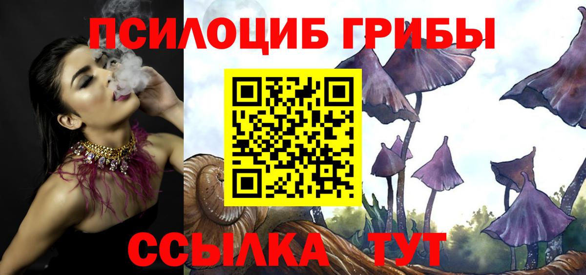Галлюциногенные грибы MAGIC MUSHROOMS  Галлюциногенные грибы прущие грибы  Вход с VPN  Павловский Посад 